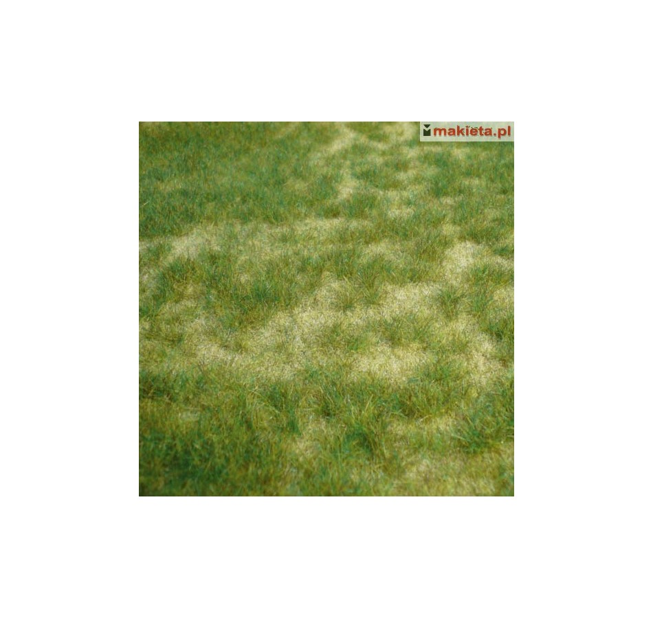 Heki 1842, Wildgras - pastwisko, dzika trawa letnia, dywanik 45 x 17 cm.