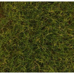Faller 170774, Posypka trawiasta elektrostatyczna, wysokie trawy letnie, 12 mm.