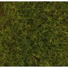 Faller 170774, Posypka trawiasta elektrostatyczna, trawy letnie, 12 mm.