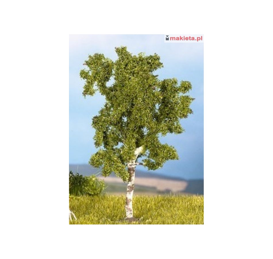 Noch 25950-10, drzewko, brzoza, ~ 8-9 cm, 1 szt. H0 (TT)