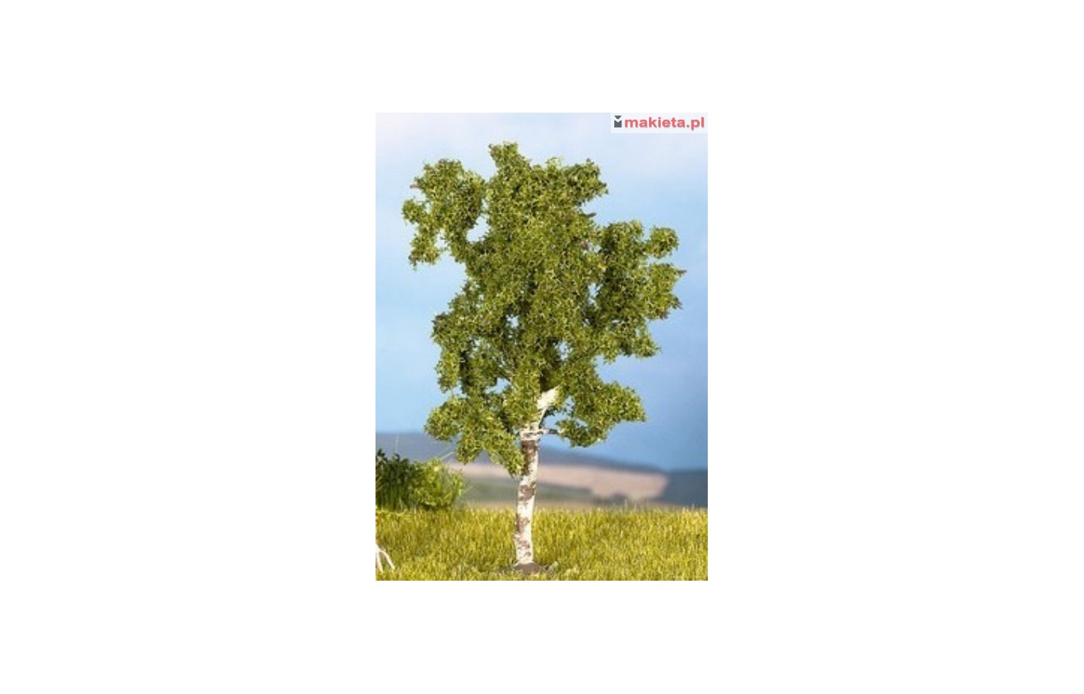 Noch 25950-10, drzewko, brzoza, ~ 8-9 cm, 1 szt. H0 (TT)