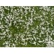 NOCH 07256. Podłoże trawiaste, łąka, kwiaty białe, 180 x 120 mm.