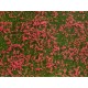 NOCH 07257. Podłoże trawiaste, łąka, kwiaty czerwone, 180 x 120 mm.