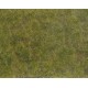 NOCH 07254. Podłoże trawiaste, zarośla zielono-brązowe, 180 x 120 mm.