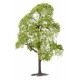 Faller 181701. Lipa, drzewo wys. ~130 mm. Premium. H0 (TT-N)