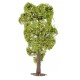 Faller 181703. Robinia akacjowa, drzewo wys. ~100 mm. Premium. H0 (TT-N)