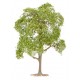Faller 181801. Lipa i jarząb brekinia, dwa drzewa wys. ~130 i ~95 mm. Premium. H0 (TT-N)