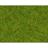 NOCH 08300, Posykpa "trawa" statyczna 2,5 mm - wiosenna łąka