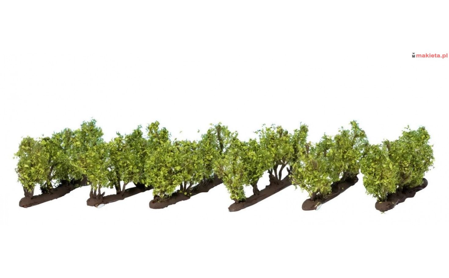 Noch 21540. Winorośl (lub krzewy, małe drzewka), 2,2 cm, 24 sztuki