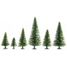 Noch 26925. Zestaw drzew iglastych, 10 sztuk, wys. 5-14 cm