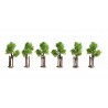 Noch 21538. Młode drzewa ze słupkami podporowymi, 6 sztuk, wys. ~4 cm. Skala H0 / TT