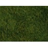 NOCH 07280. Dzikie trawy, jasnozielone, na siateczce (fibra + drobna gąbka) 20 x 23 cm