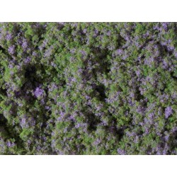 Auhagen 76931. Mata łąka kwiatowa, wrzosy. 9,5 x 15 cm