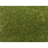 NOCH 07118. Dzika trawa, zieleń średnia, 9 mm. Posypka elektrostatyczna Wild Grass, 50 g.