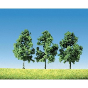drzewa średnie (10-13cm)
